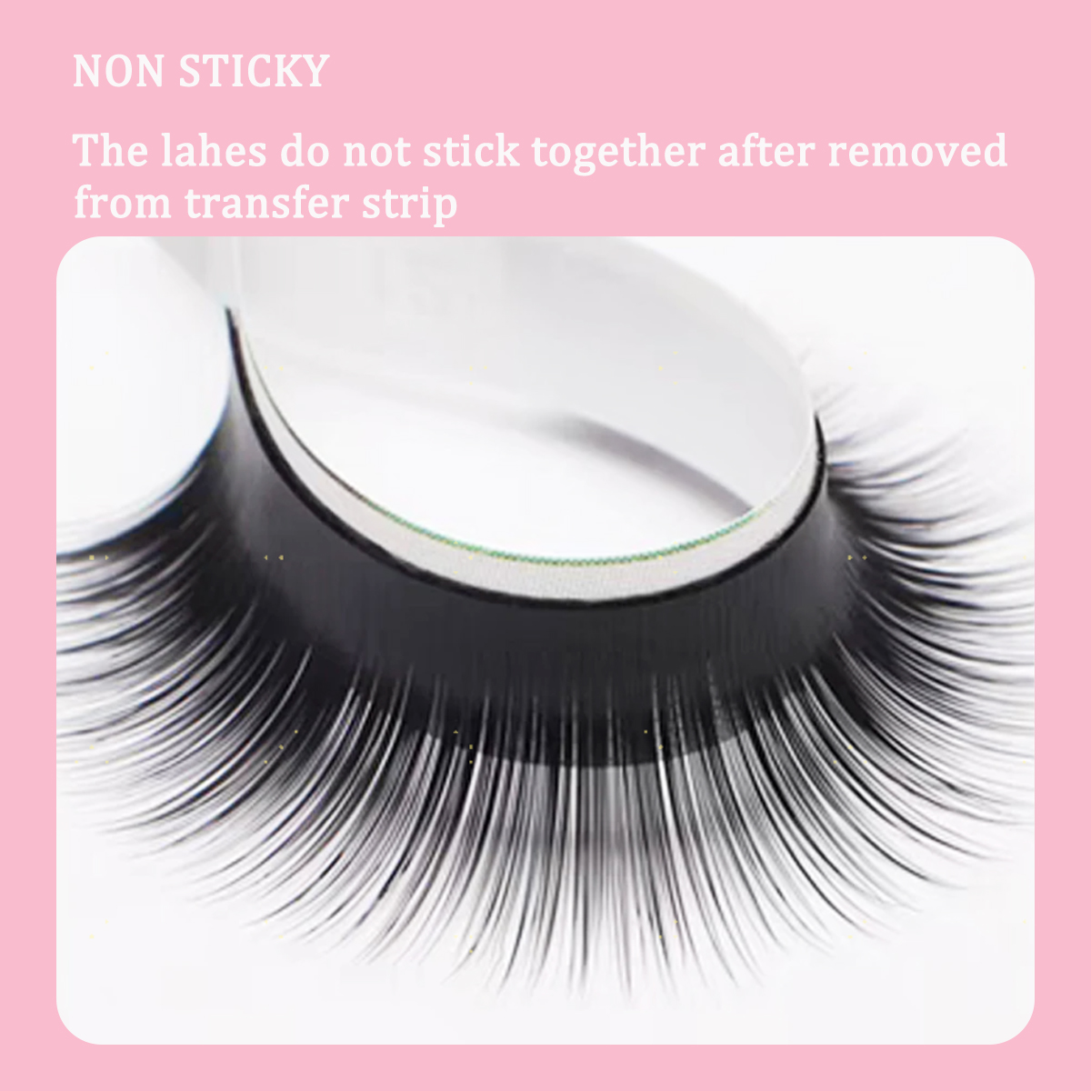 Camellia False Eyelashes 0.05  - Eyelash Extension Wet Look recensione e prezzo